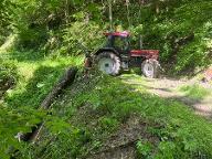 Dienstleistung Holzschlägerung/Bringung Osanger (Holzernte & Rückung, Jungwaldpflege)