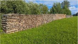 Brennholz Fichte, Kiefer Langschlag