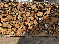 Brennholz Sonstiges Holz, Eiche, Buche Kaiserslautern 