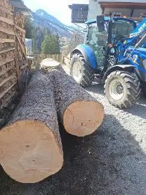 Rundholz Rundholz Ahorn Starkholz für z.b. Tischplatten