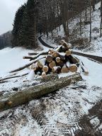 Rundholz Buche