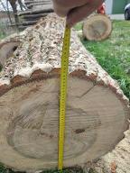 Rundholz Pappel beste Qualität, Astrein Sallapulka