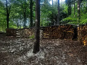 Brennholz Brennholz Kastanie