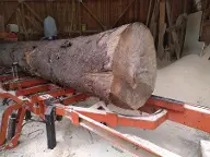 NM Kapfenberg