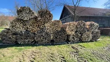 Brennholz Brennholz Fichte, Esche