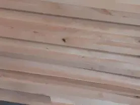 Holzprodukte ERLE Massivholzplatten