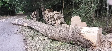 Rundholz Rundholz Esche