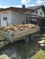 Brennholz Esche