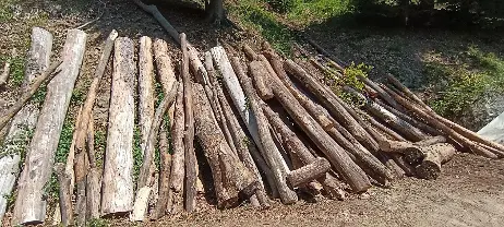 Rundholz Rundholz Sonstiges Holz Faserholz Buche, Kiefer, Fichte