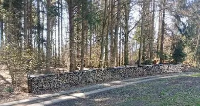 Brennholz Brennholz Esche, Buche