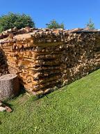 Brennholz Fichte