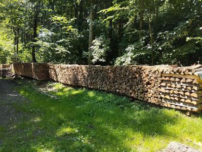 Brennholz Fichte