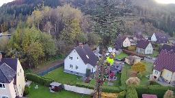 Dienstleistung Forstunternehmen Ritt (Holzernte & Rückung, Baumabtragung/-pflege)