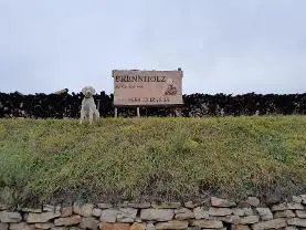 Brennholz Brennholz Buche