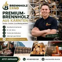 Brennholz Brennholz Esche, Eiche, Buche Premium Brennholz Buche– trocken & ofenfertig