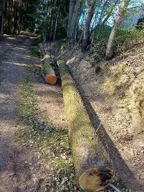 Rundholz Rundholz Eiche