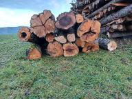 Brennholz Apfel, Birne, Nuss