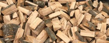 Brennholz Hainbuche, Rotbuche