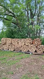 Brennholz Esche, Eiche, Buche Wolfsbach