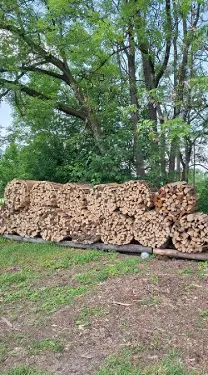Brennholz Brennholz Esche, Eiche, Buche
