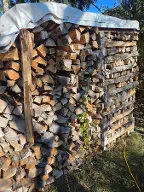 Brennholz Fichte, Esche, Buche Hartholz/Weichholz getrocknet Mooskirchen