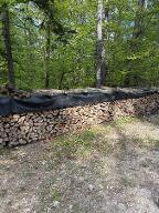 Brennholz Buche Waidmannsfeld