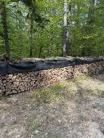 Brennholz Brennholz Buche