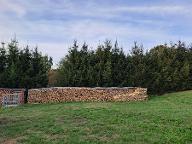 Brennholz Birke, Ahorn