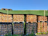 Brennholz Esche, Eiche, Buche Paldau