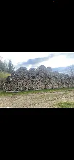 Brennholz Esche, Eiche, Buche Kaumberg