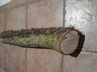 Rundholz Sonstiges Holz Efeu