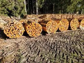Brennholz Brennholz Fichte, Erle