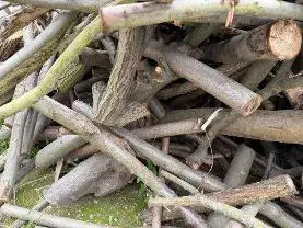 Brennholz Brennholz Ahorn, Erle, Kirsche Hartholz für Kamin