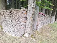 Brennholz Fichte Straßwalchen
