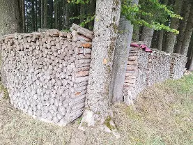 Brennholz Brennholz Fichte