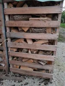Brennholz Brennholz Esche