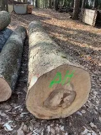 Rundholz Rundholz Ahorn Riegelahorn
