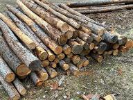 Rundholz Lärche Oppenberg 