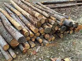 Rundholz Rundholz Lärche