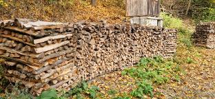 Brennholz Esche, Buche Zwei Jahre getrocknet