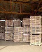 Schnittholz Kiefer Tsineva