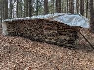 Brennholz Buche Tragwein