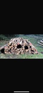 Rundholz Buche Eiche und Birke sind auch mit im Polter