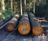 Rundholz Erle Kumberg