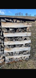 Brennholz Esche, Buche Brennholz Hart