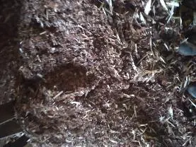 Holzprodukte Rindenmulch