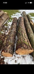 Rundholz Kiefer Dobl