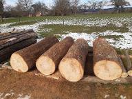 Rundholz Esche Rundholz