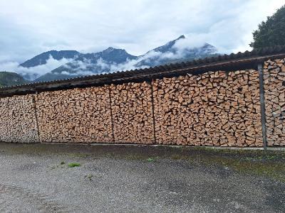 Brennholz Esche, Buche Hartholz