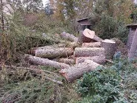 Rundholz Rundholz Lärche